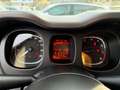 Fiat Panda 1,2 51kW 69PS Lounge/Klima/PDC/24tkm Rot - thumbnail 15