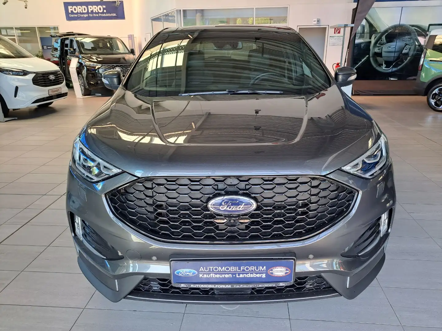 Ford Edge 2.0 EcoBlue ST-Line LED StandHzg. 4xSHZ Gris - 2