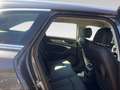 Audi A6 Avant S Line Edition - Canone Noleggio € 866 Grau - thumbnail 14