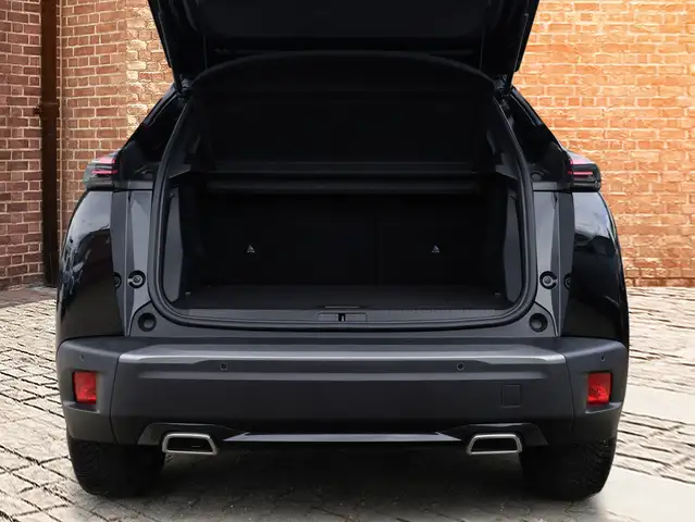 Peugeot 2008 view 6