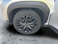 Toyota Yaris Cross 120H Adventure Grau - thumbnail 13