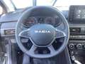 Dacia Jogger Extreme TCe 110 Gris - thumbnail 10