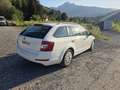 Skoda Octavia Ambition 4x4 Weiß - thumbnail 4
