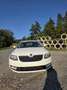 Skoda Octavia Ambition 4x4 Weiß - thumbnail 6
