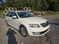 Skoda Octavia Ambition 4x4 Weiß - thumbnail 2