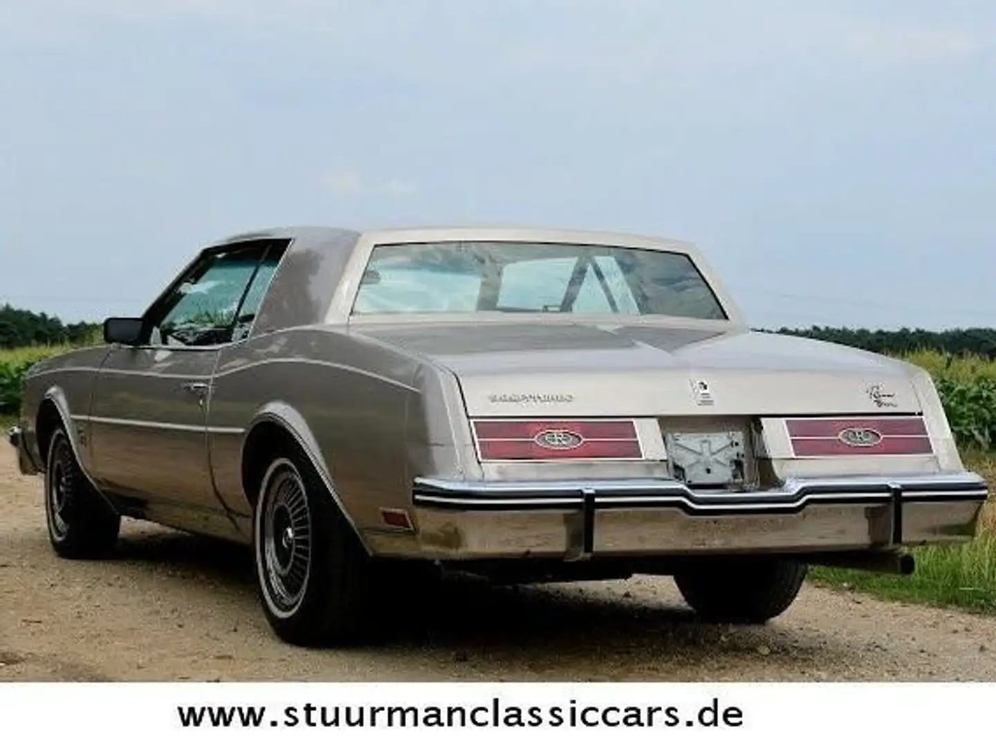 Buick Riviera 3.8 SFI Turbo Coupe Beżowy - 2