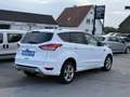 Ford Kuga Individual Weiß - thumbnail 2