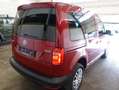 Volkswagen Caddy Kombi Trendline 2,0 TDI 4MOTION Rojo - thumbnail 13