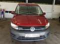 Volkswagen Caddy Kombi Trendline 2,0 TDI 4MOTION Rojo - thumbnail 2