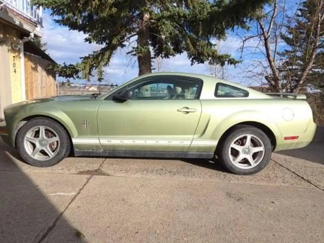 Ford Mustang fotografie Ford Mustang