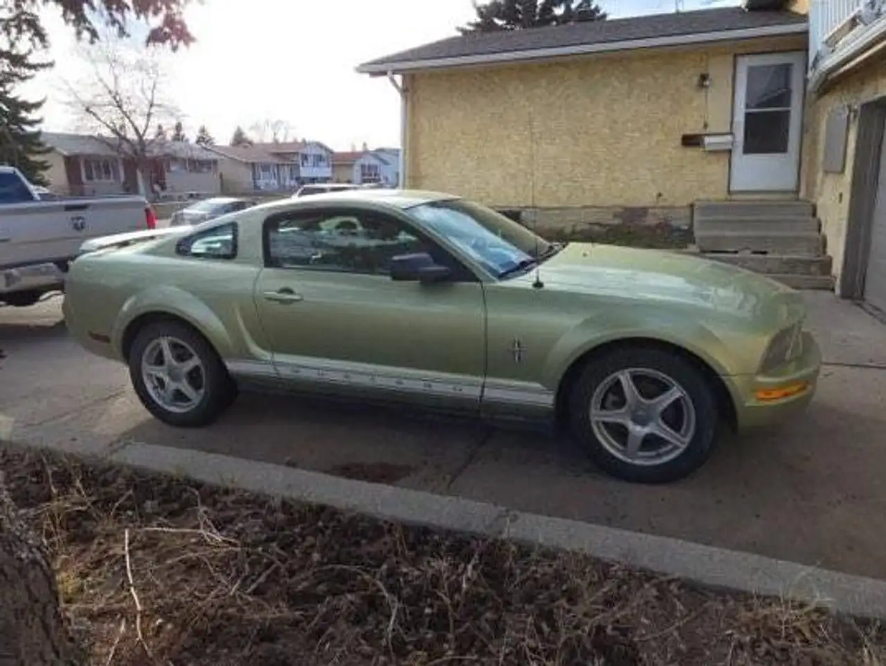 Ford Mustang fotografie Ford Mustang