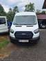 Ford Transit Variobus 2,0 EcoBlue L3H2 330 Trend - thumbnail 1