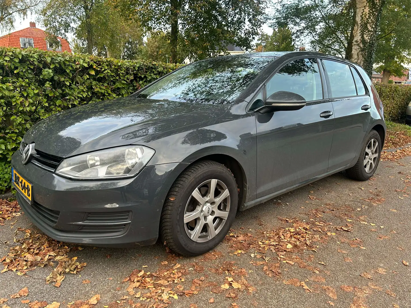 Volkswagen Golf Golf 1.2 TSI Easyline Grijs - 2