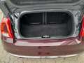 Fiat 500C 500C 1.2 Collezione 69cv c/sensori parcheggio Lilla - thumbnail 13