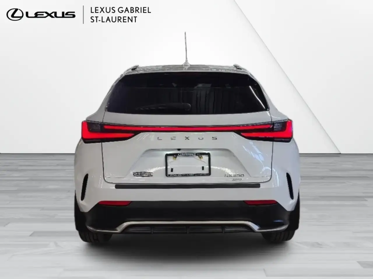 Lexus NX fotografie Lexus NX