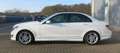 Mercedes-Benz C 220 CDI BlueEfficiency,Klima,Sitzh,AMG Styling Blanc - thumbnail 3