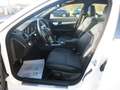 Mercedes-Benz C 220 CDI BlueEfficiency,Klima,Sitzh,AMG Styling Blanc - thumbnail 10