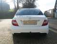 Mercedes-Benz C 220 CDI BlueEfficiency,Klima,Sitzh,AMG Styling Blanc - thumbnail 5
