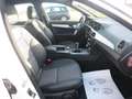 Mercedes-Benz C 220 CDI BlueEfficiency,Klima,Sitzh,AMG Styling Blanc - thumbnail 13