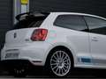 Volkswagen Polo R WRC Polo 2.0TSI R WRC R WRC - thumbnail 15