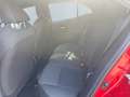 Toyota Corolla 1.2 Turbo Team D *Bi-LED*Navi*Kamera*SHZ* Rot - thumbnail 17