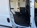 Fiat Doblo Maxi 1.6 mjt 105 cv 3 POSTI (rete apribile) Bianco - thumbnail 14