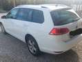 Volkswagen Golf Variant Golf Variant Highline BMT 1,6 TDI Highline Білий - thumbnail 3