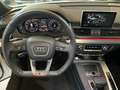 Audi Q5 50-2.0 tfsi-185 kw sline plus quattro iva esposta Wit - thumbnail 14