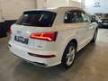 Audi Q5 50-2.0 tfsi-185 kw sline plus quattro iva esposta Blanco - thumbnail 6