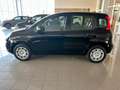 Fiat Panda 1.0 firefly 70cv s&s hybrid Icon Noir - thumbnail 22