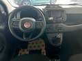 Fiat Panda 1.0 firefly 70cv s&s hybrid Icon Noir - thumbnail 11