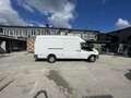 Ford Transit Bus - thumbnail 3