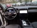 Hyundai TUCSON 1.6 Prime Mild-Hybrid 4WD Pano. AHK Blanc - thumbnail 8