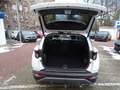 Hyundai TUCSON 1.6 Prime Mild-Hybrid 4WD Pano. AHK Blanc - thumbnail 4