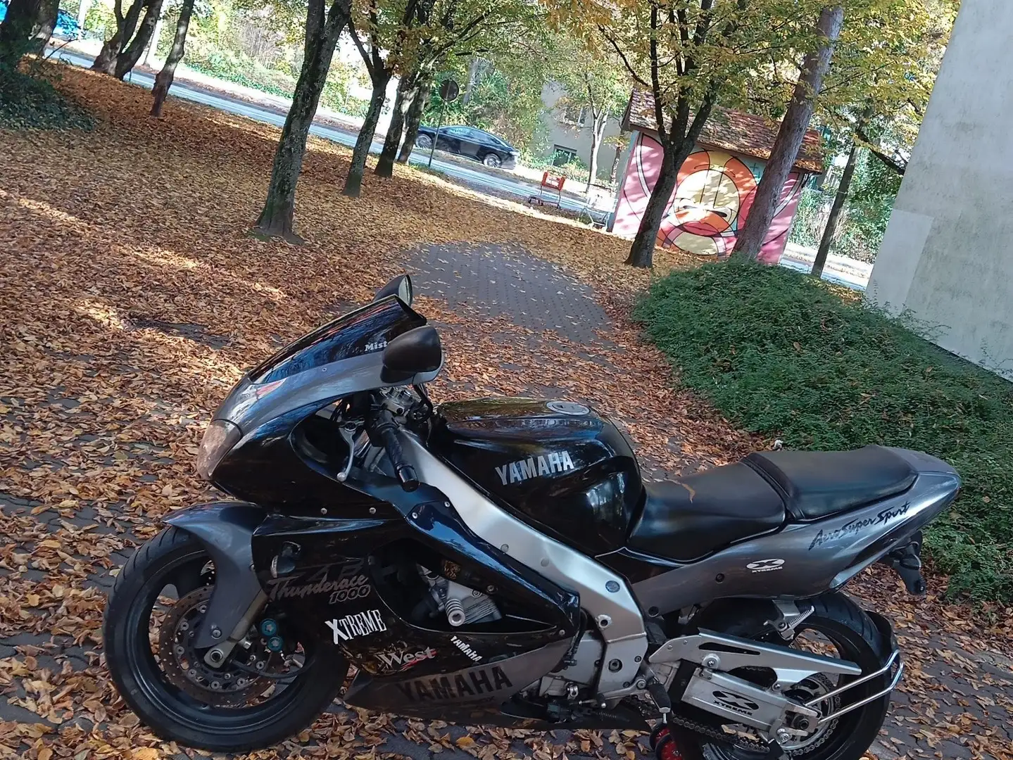 Yamaha YZF 1000 Beżowy - 2