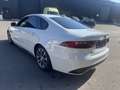 Jaguar XF II 2.0T 200ch R-Sport BVA Bianco - thumbnail 6