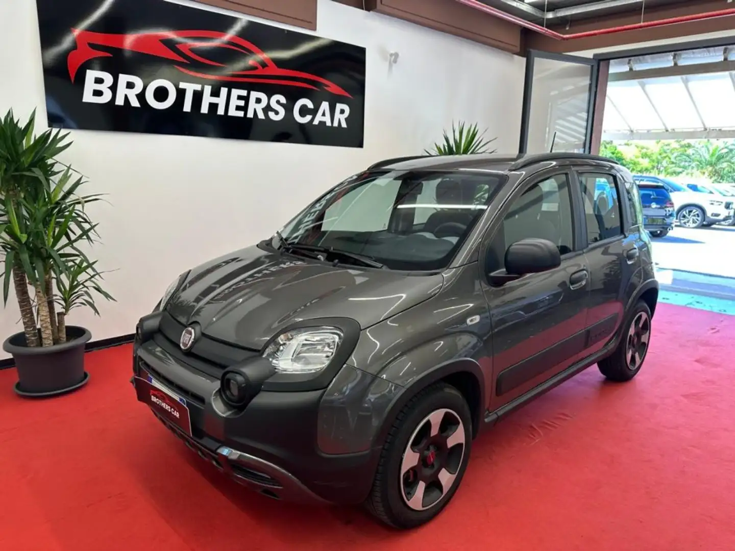Fiat Panda 1.0 FireFly S&S Hybrid City Cross Gri - 1