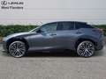 Lexus RZ Privilege Line+360° cam+navi+s Gris - thumbnail 5