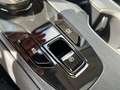 Lexus RZ Privilege Line+360° cam+navi+s Gris - thumbnail 20