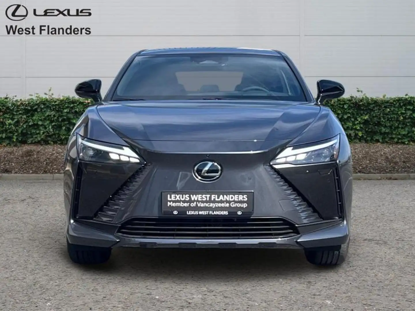 Lexus RZ Privilege Line+360° cam+navi+s Gris - 2