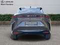 Lexus RZ Privilege Line+360° cam+navi+s Gris - thumbnail 6
