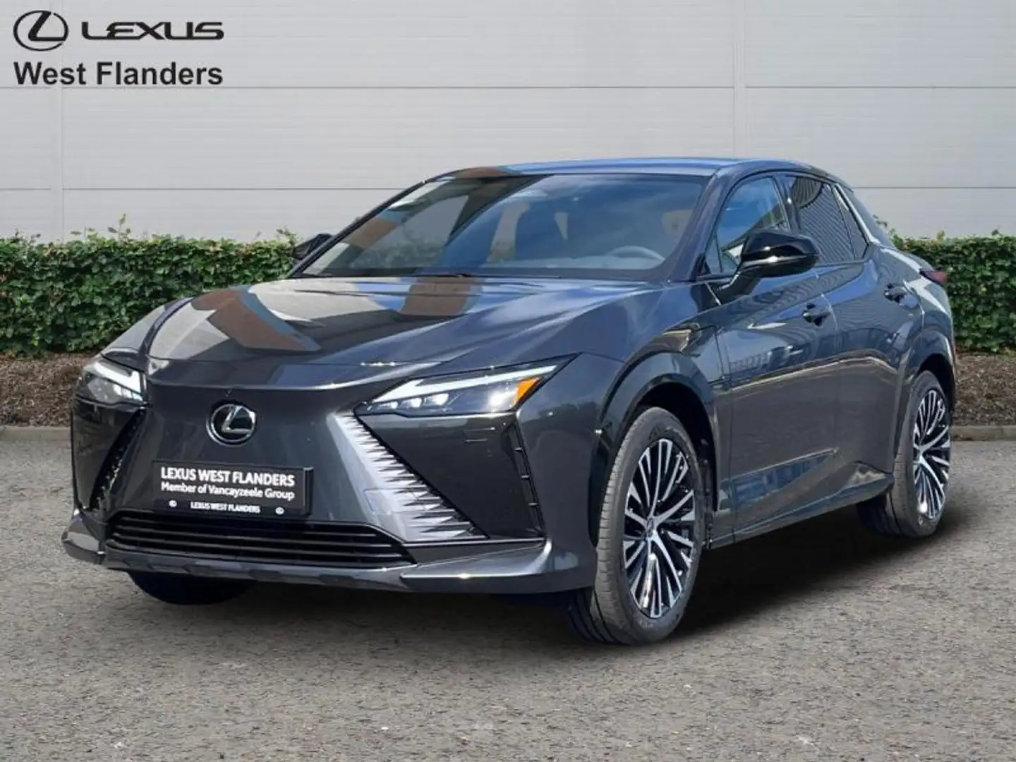 Lexus RZ Privilege Line+360° cam+navi+s Gris - 1