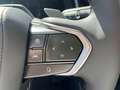 Lexus RZ Privilege Line+360° cam+navi+s Gris - thumbnail 14