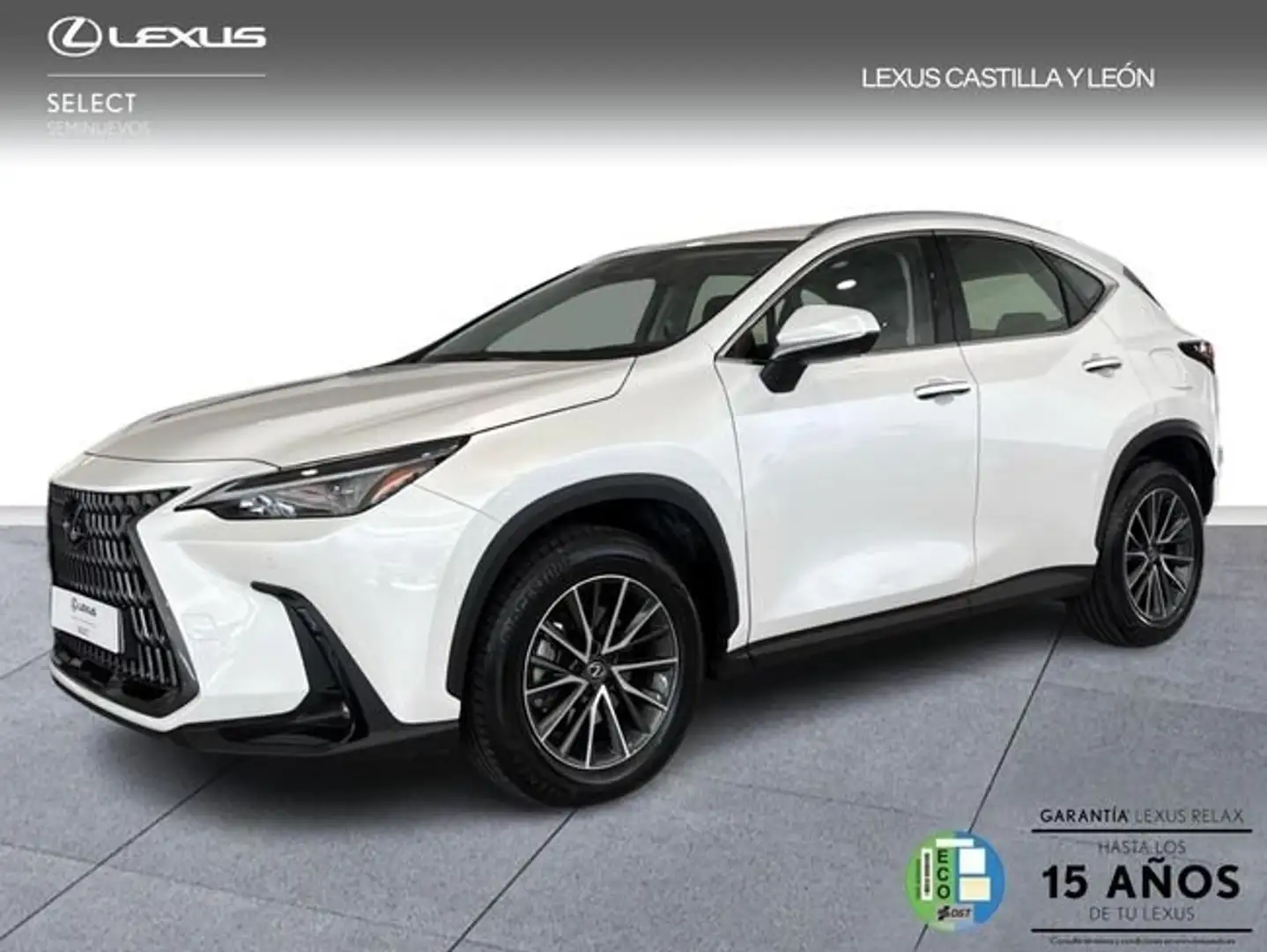 Lexus NX 350h 2WD PREMIUM+ Blanco - 1