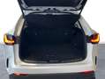 Lexus NX 350h 2WD PREMIUM+ Blanco - thumbnail 10