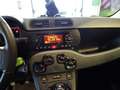 Fiat Panda 1.0 FireFly S&S Hybrid City Life Bianco - thumbnail 9