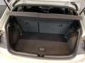 Volkswagen Polo GTI 2.0 TSI DSG / Navi LED ACC Grau - thumbnail 10
