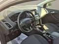 Ford Focus Titanium Weiß - thumbnail 9