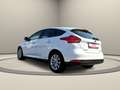 Ford Focus Titanium Weiß - thumbnail 5
