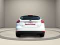 Ford Focus Titanium Weiß - thumbnail 6